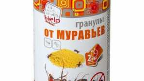 Как да се отървем от мравки в къщата и на парцела